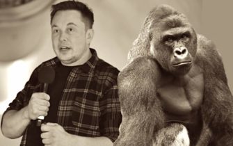 Billionaire Entrepreneur Invests in Auto-Tune, Makes Rap to Honour Dead Gorilla